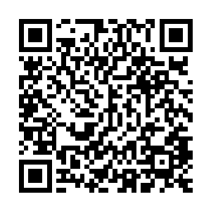 七个人加上巴克就在山坡距离路边不到五十米的位置排开趴好了二维码生成