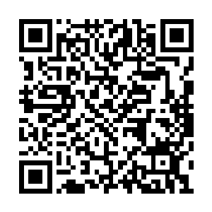 七宗罪的笑声仿佛激怒了整片丛林中的危险生物二维码生成