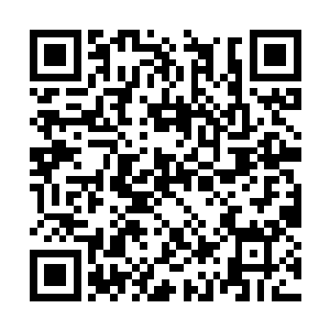 七年近乎于无所事事的生活已经把他的斗志磨灭了二维码生成
