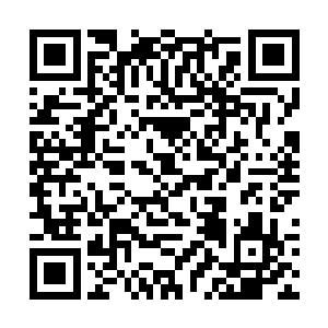 七彩之环的赤环橙环和黄环也都被增强三成的防御力二维码生成