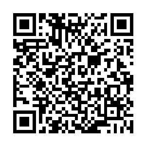 七彩飞天蜈蚣的精血比六彩飞天蜈蚣的精血更加强大二维码生成