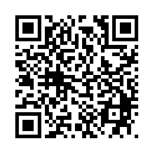 七纹法相境拥有四重异象宗师的实力二维码生成