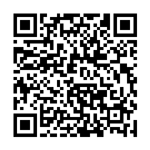 七长老一系的某个归一神皇神色不善的望着青冈离去二维码生成