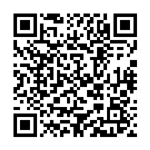 七长老和朱翎雪闻言均被朱翎雨身上散发的气息所震二维码生成