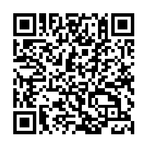 万一对方的力量真的强到了叶星一招无法击败的程度二维码生成