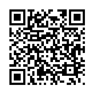 万一无意中弄掉了或者弄坏了怎么办二维码生成