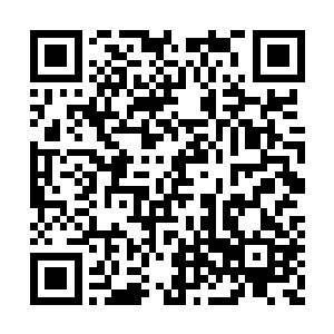 万一有什么两败俱伤的情况发生被自己撞到了呢二维码生成