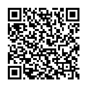 万一跟天音神宗这边的女弟子眉来眼去看对眼了二维码生成