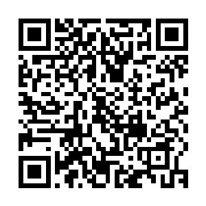 万剑阵中所有的虚实剑在几双瞪大的眼睛中全部穿透莫崎的身体二维码生成