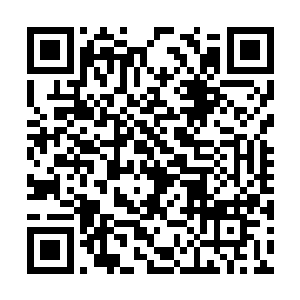 万古境与涅槃境之间在生命层次上有着本质的区别二维码生成