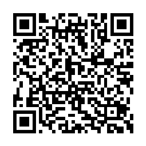 万大鹏见状两腿一软差点就要一屁股坐在了地上二维码生成