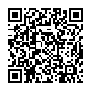 万妖王之所以提前出来了那肯定是有人用六阳血解开了封印二维码生成