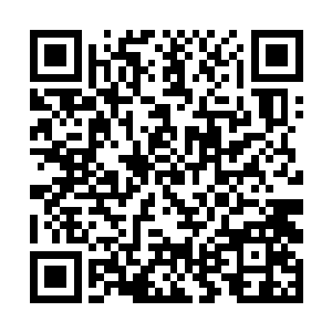 万宿虫出生之后的能力是和其寄宿的生物休戚相关的二维码生成