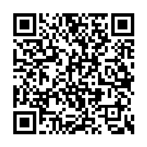 万毒宗的众人听后当即直接朝着洞口的方向掠去二维码生成