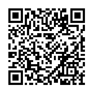 万没想到这许竟源说的居然是凤家报的那个案子二维码生成