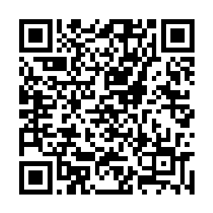 万煞洞等附属势力供奉的财富已经足够他们的挥霍二维码生成