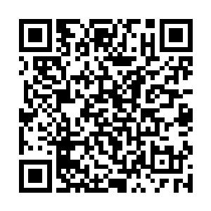 万界商盟悄悄在帝国外围世界全面铺开了自由星币的二维码生成