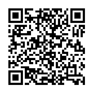 万蛇之母美丽的眸子当中似乎浮现出大量的世界生灭二维码生成