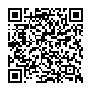 万载蛰伏的不利之处就在于很难从外部得到机会二维码生成
