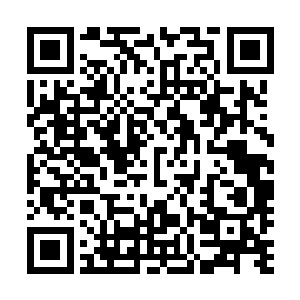 万里有爱见识过会对人喷水的清洁机器人和游戏狂赵腾丰后二维码生成
