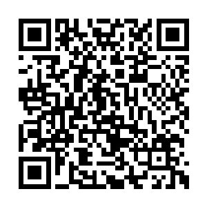 三两口解决完碗里的肉便开始动手弄新的织布机二维码生成