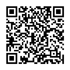 三个女人都在自己的房间里对着电脑忙碌着自己的事情二维码生成