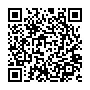 三个小家伙都有些迷离的睁开眼呆呆的看着流墨墨二维码生成