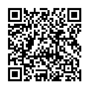 三个涅槃境界的老者此时也是直接使用除了最恐怖的攻击二维码生成
