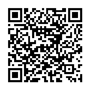 三人带领着身后总共九名同样披着黑色斗篷的手下二维码生成