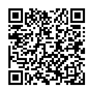 三位首领不如把白骨天牢殿的所有能召唤来的白骨守卫二维码生成