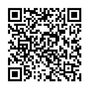 三凤之中的另外两女也将自己手中的采花递给了夏天二维码生成