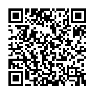 三分之一的时间是在徐阿姨的饭馆里蹭饭长大的二维码生成