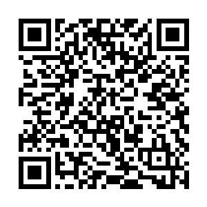 三十五只赤级后期妖兽我给你们三百五十块下品仙晶二维码生成