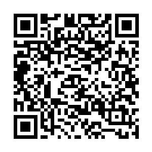 三十六只赤级中期妖兽我给你们三十六块下品仙晶二维码生成