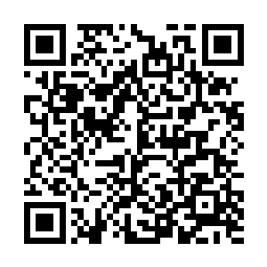 三十六根强韧粗大的古藤瞬间将那个傀儡缠绕了起来二维码生成