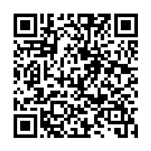 三十六洞天福地的一位传奇后期境界的大人动手了二维码生成