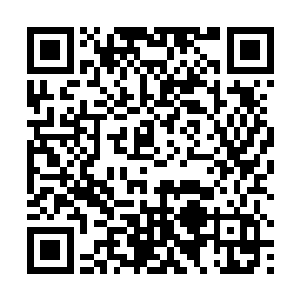 三十六洞天福地的人此刻是带着覆灭天师府的杀意而来二维码生成