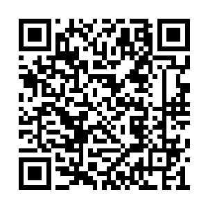 三十六洞天福地的这两位地仙都认为秦宇会妥协二维码生成