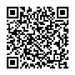 三十多名护卫就只剩下二十多人还在苦苦抵挡了二维码生成