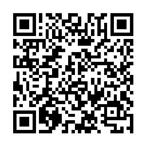 三十年前的那场灾难是小石寨村所有人都不敢提起的二维码生成