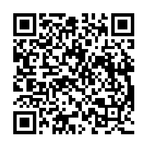 三千艘星舰再加上三百台巨神兵组成的快速反应舰队呢二维码生成
