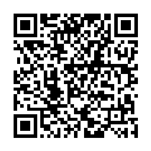 三只充满了力量和愤怒的拳头都砸在了雷天的元力护罩上二维码生成