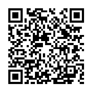 三只红色的小虫就从这三头千足虫的嘴中爬了出来二维码生成