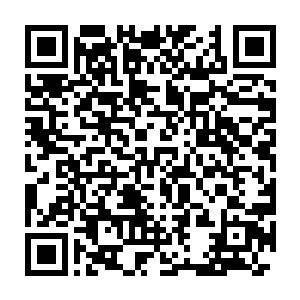 三大界主以及顾雪莲还有无圣大陆诸多武修都纷纷朝着他这边赶来二维码生成