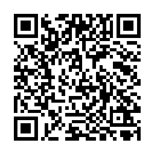 三大界主看着乖巧如林家碧玉般站在叶尊身旁的少女二维码生成