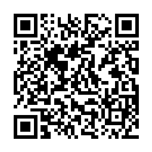 三天之内没有效果……反正我也是跟你们一起死在这了二维码生成