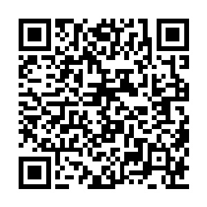 三师姐他们乘坐仙舟估计也就二十天左右的时间二维码生成