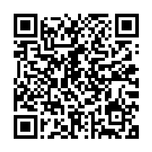 三年前她在陕西边际上一个叫做凤起村的地方找到了一户人家二维码生成