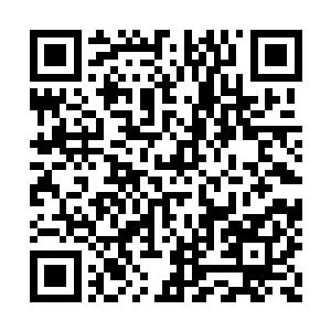 三支纯粹风灵力凝聚的淡青色箭矢出现在他手中二维码生成