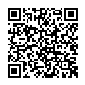 三斤……我这就让哥把你缝起来……别着急走呀二维码生成